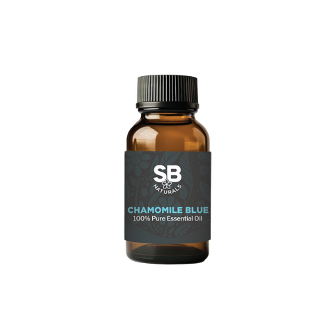 Chamomile Blue Essential Oil