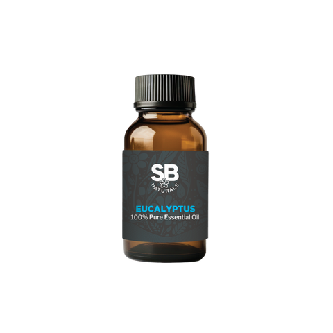 Eucalyptus Essential Oil